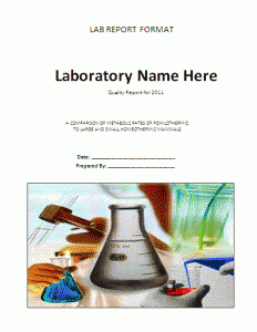 Sample Lab Report Format